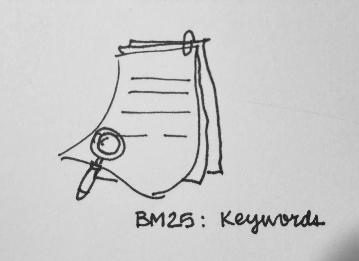 BM25 looks for keywords